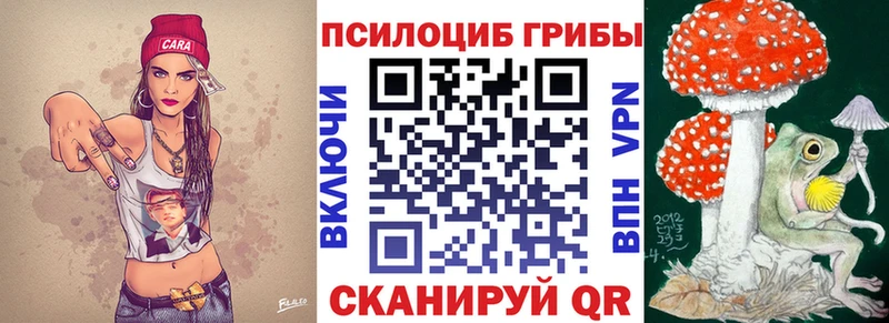 Галлюциногенные грибы Psilocybe  Курган 