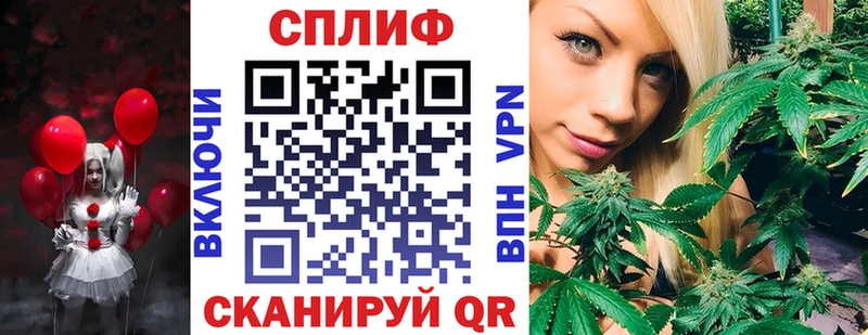 как найти наркотики  Курган  Бошки марихуана SATIVA & INDICA 